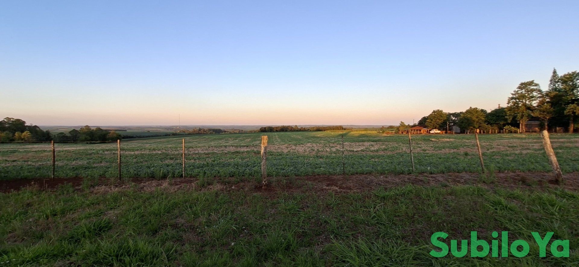Vendo 8 ha en Vacay 30, Itapúa, Paraguay, directamente sobre la Ruta Graneros del Sur