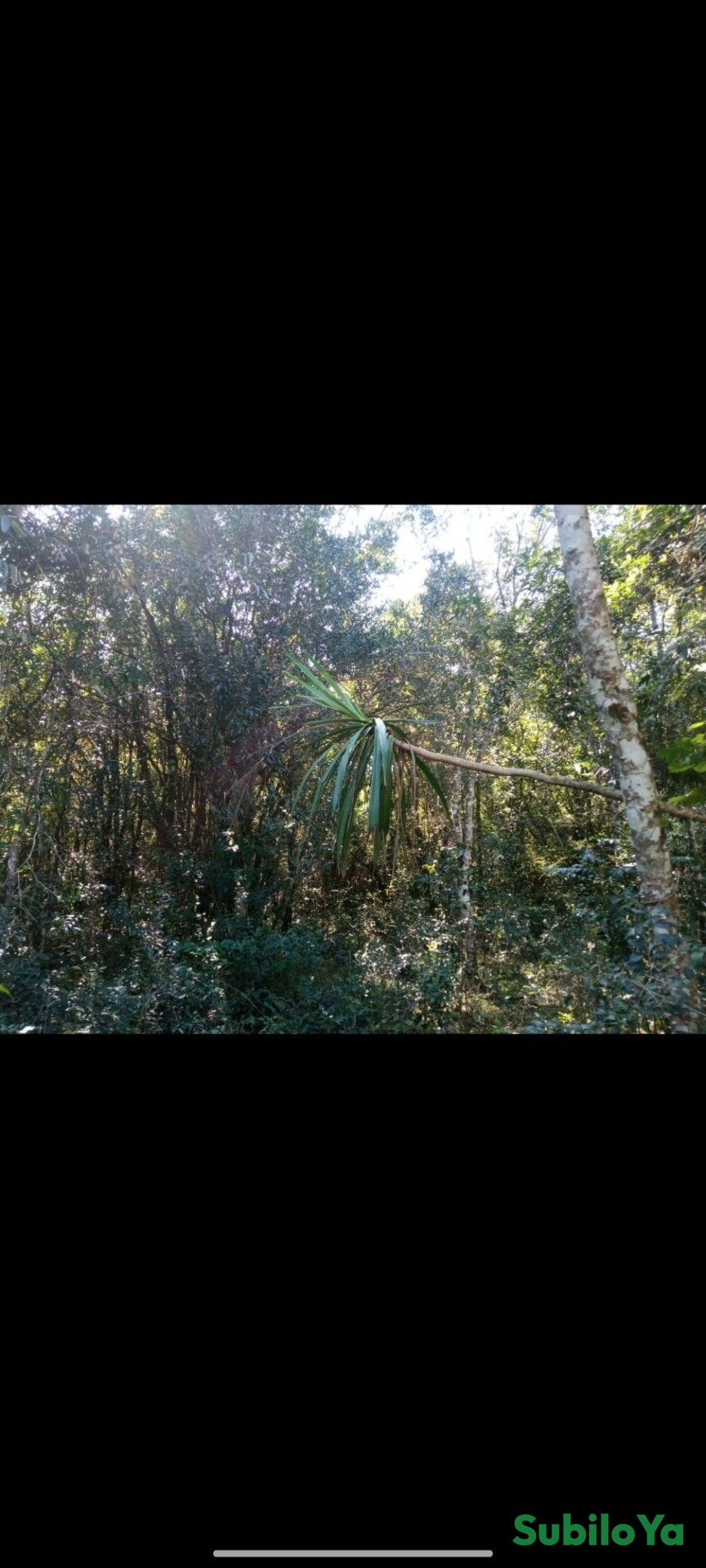 Terreno de 5 hectáreas en venta titulados .
