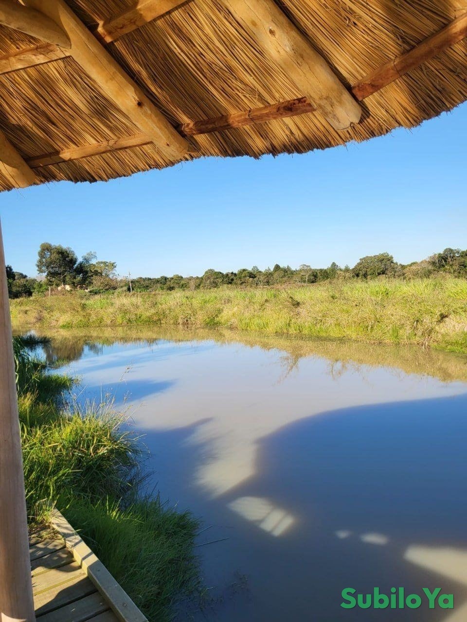 LOTE DE 5,6 HECTÁREAS